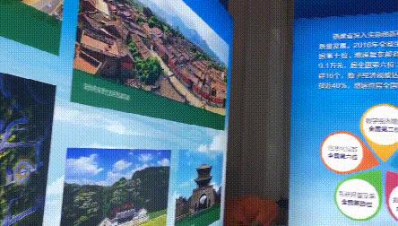 于偉國最新動態揭秘,全面指南與步驟解析