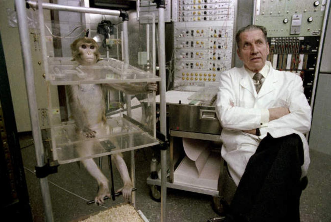 科學(xué)實(shí)驗(yàn)最新進(jìn)展，探索與創(chuàng)新觀點(diǎn)的碰撞與交融