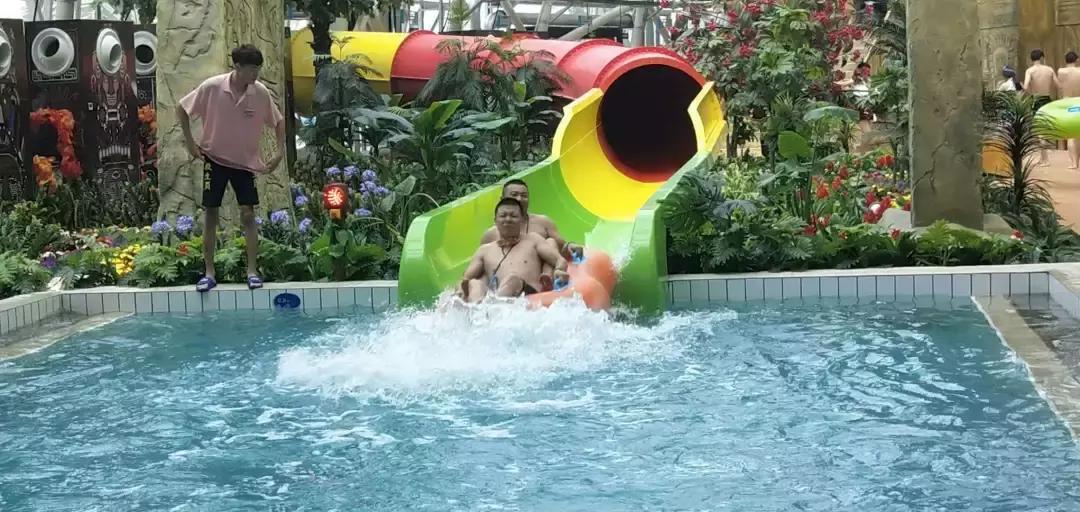 銀川遛娃現(xiàn)象,多維解讀下的文化熱潮