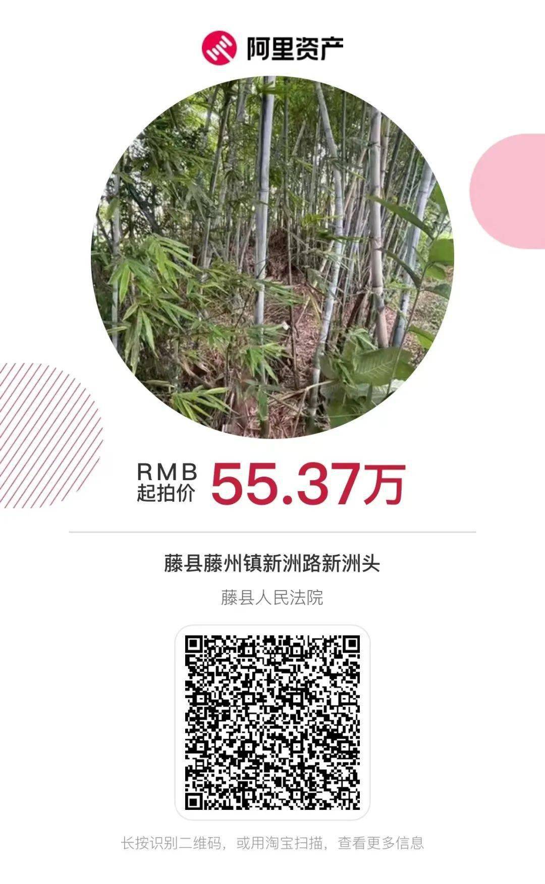 藤縣最新房源大揭秘,熱門房源一網(wǎng)打盡