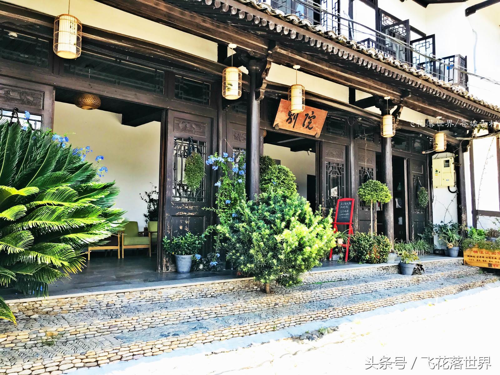 永嘉最新建筑探索，現代都市新地標亮相