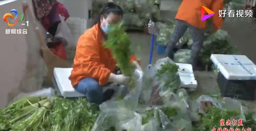 湖北最新解封,科技重塑生活,高科技產(chǎn)品時代來臨