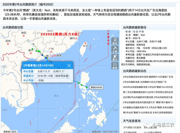 臺風鸚鵡最新路徑探索與巷弄中的美食天堂揭秘