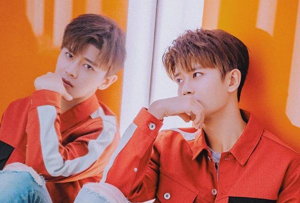 最新維他奶,融入生活的健康飲品與歡樂日常