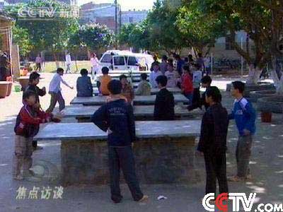 甲肝最新動態與自然美景之旅，探尋內心的寧靜與平和