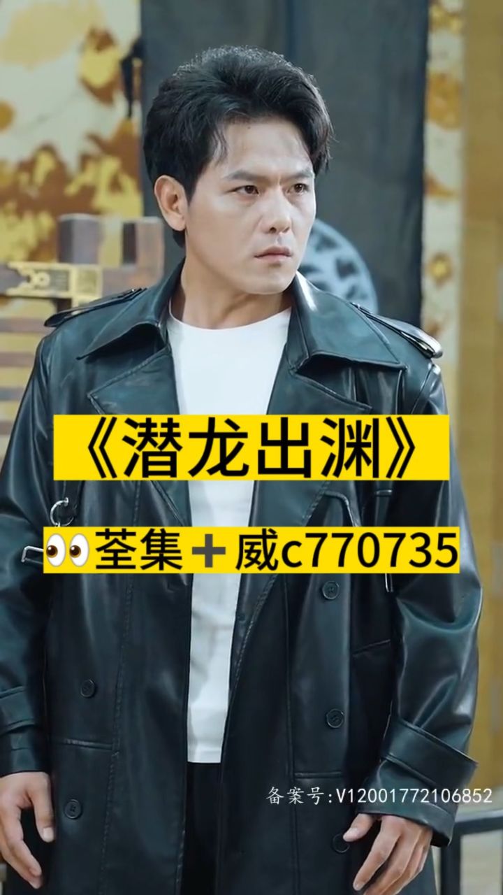 淘龍最新視頻,日常趣事與愛之陪伴