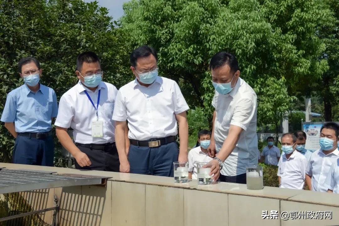 鄂州最新干部動態更新?