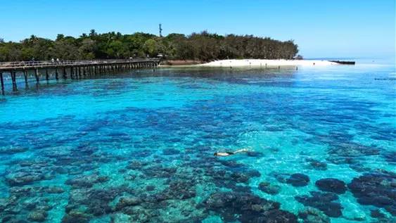 翡翠島最新篇章揭秘,歷史背景、重大事件與時代地位