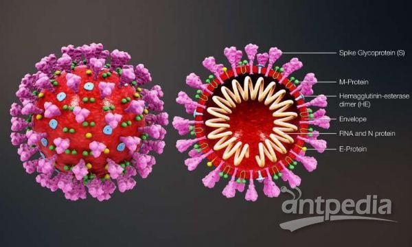 最新新冠心，變化中的學習，自信與成就的力量之路