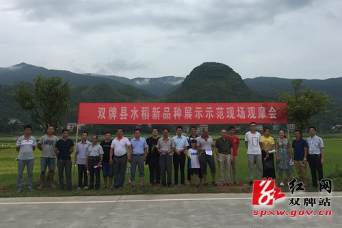 雙牌縣新時(shí)代新面貌，探尋最新發(fā)展與變化