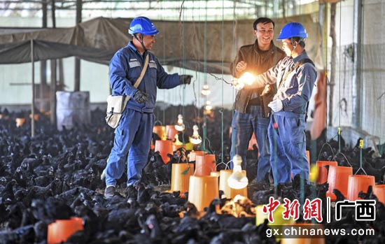 最新摘帽公司揭秘,背景、歷程與業界地位