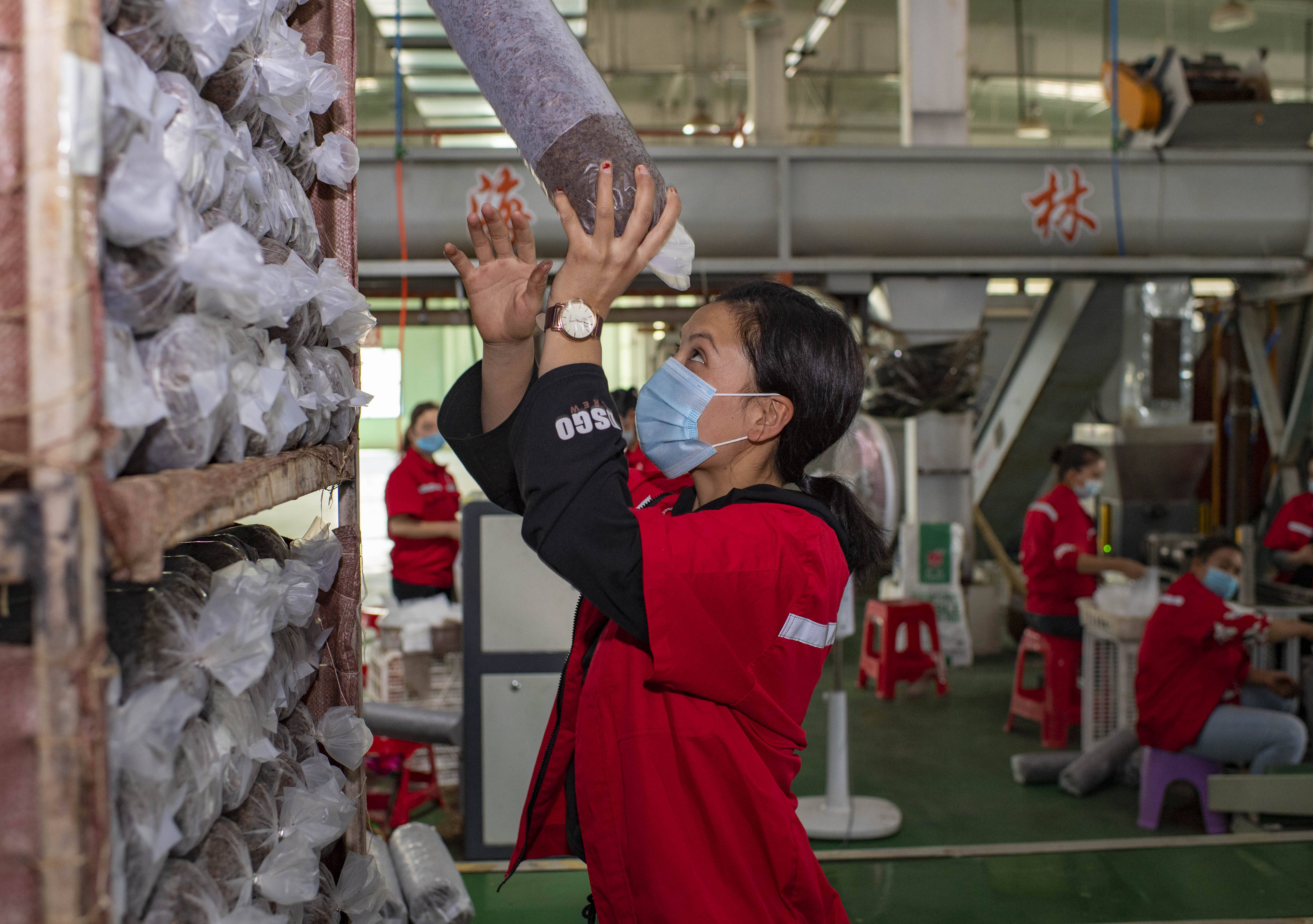 最新摘帽公司揭秘,背景、歷程與業界地位