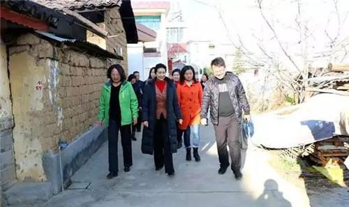 保山河圖鎮最新規劃圖揭秘,未來發展藍圖與布局展望