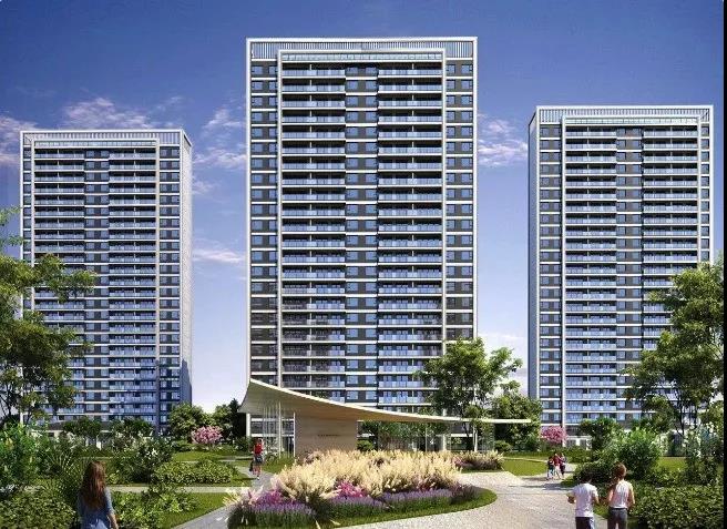 蒲城公園大境最新動態(tài)更新