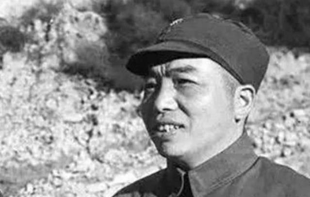 虎將秦衛江的最新動態與日常趣事，溫情紐帶揭秘