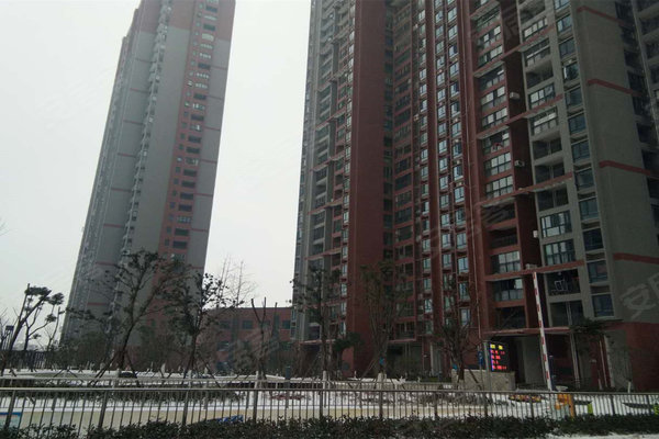 健龍果嶺公元最新動態更新，最新消息匯總