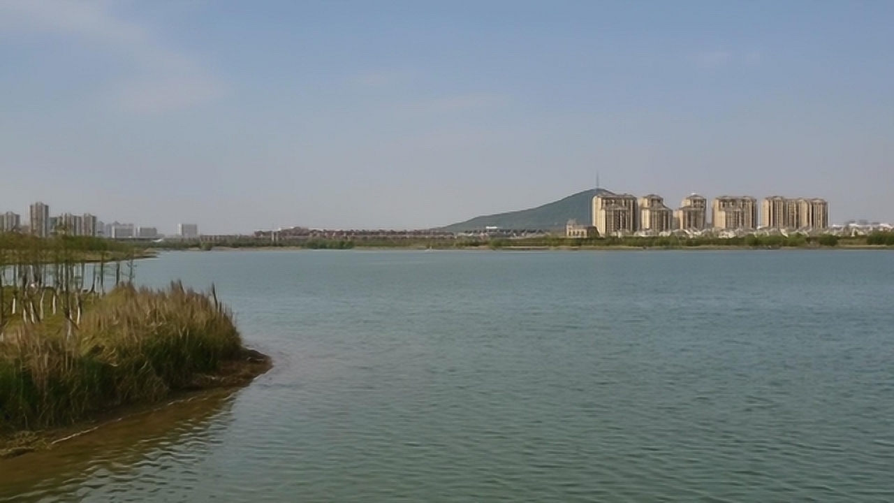 合肥柏堰湖最新動態(tài)，探索自然美景之旅，尋覓內(nèi)心寧靜與平和