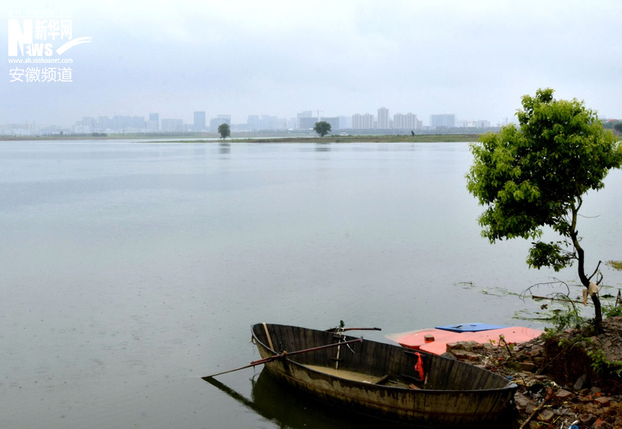 合肥柏堰湖最新動態(tài),探索自然美景之旅,尋覓內(nèi)心寧靜與平和