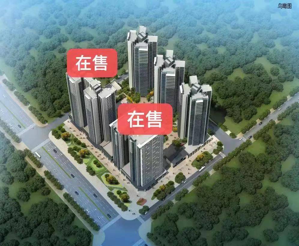 大亞灣羅健強最新動態,技能提升與任務完成指南