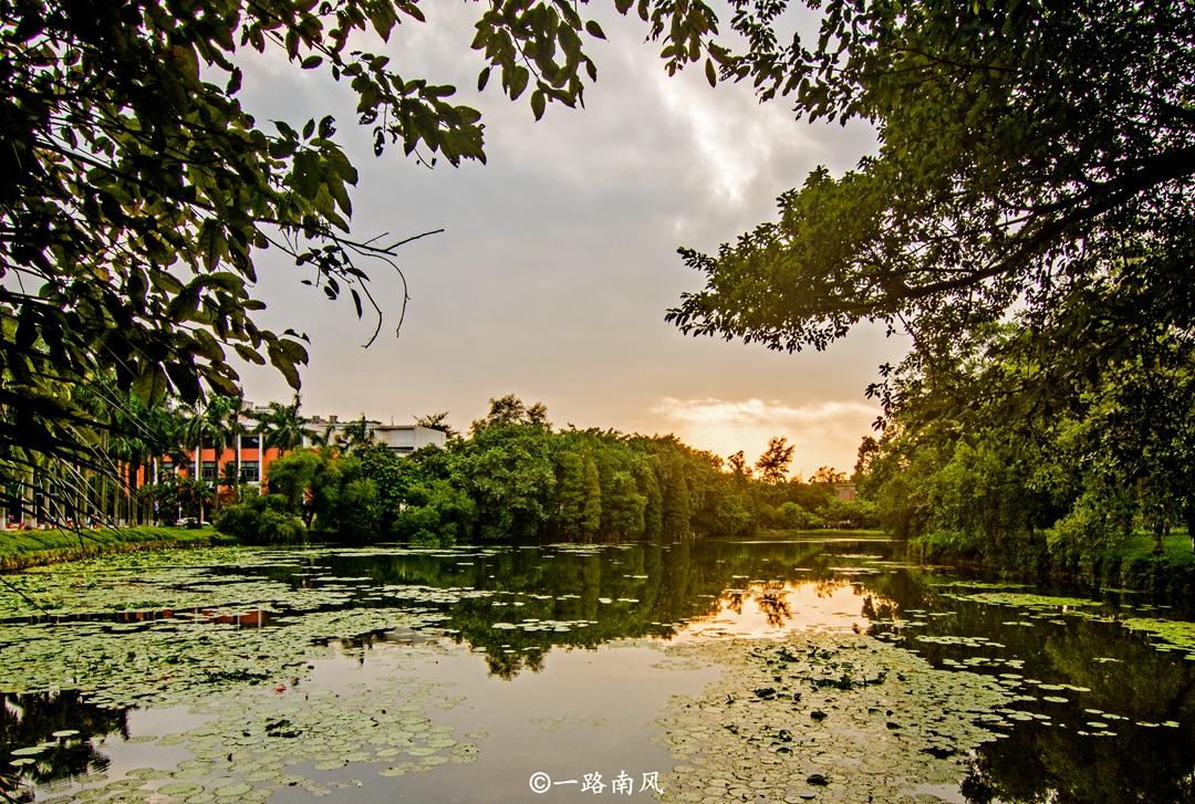 華南海域最新天氣報告，探索自然美景之旅，尋求內心寧靜與平和的旅程