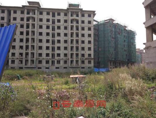 仁澤地產最新消息大全,全面指南與任務完成教程