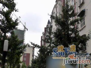 信宜玉龍山莊最新房價動態，機遇與自我超越的旅程