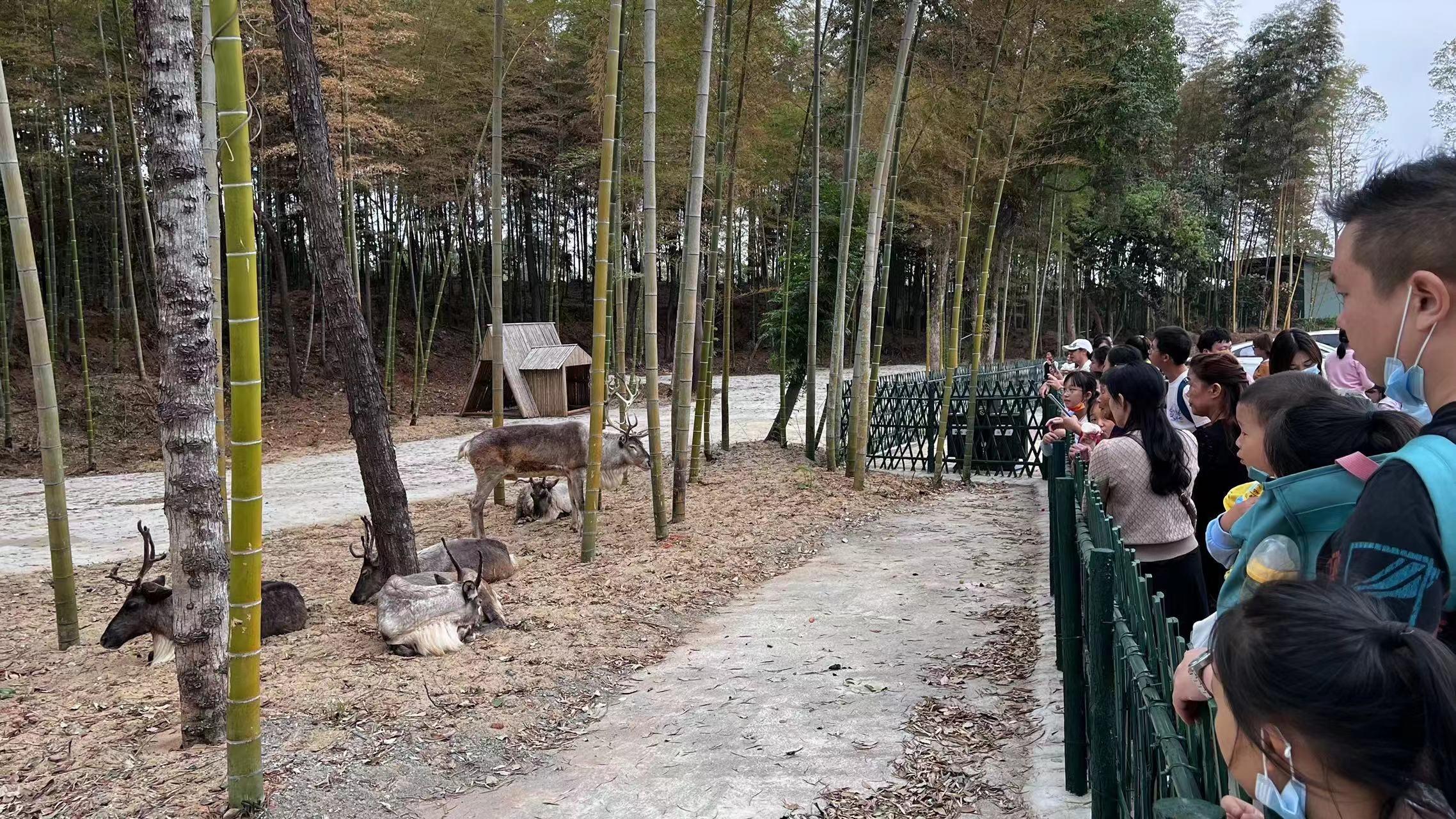 漢壽動物園最新動態,學習之旅中的變化與成就感的源泉