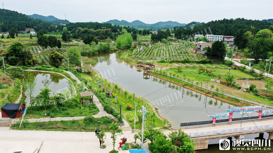 南充順慶蘆溪最新動態更新