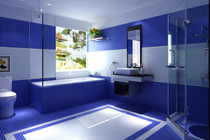 中宇衛(wèi)浴2025最新動態(tài),前瞻觀點與深度分析