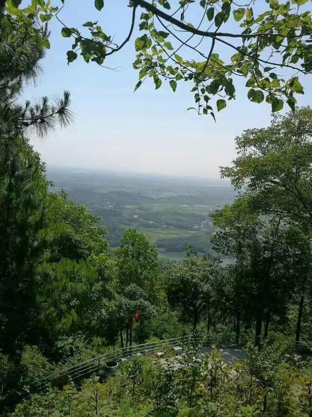 華容縣東山鎮最新項目，引領地區發展的強大驅動力