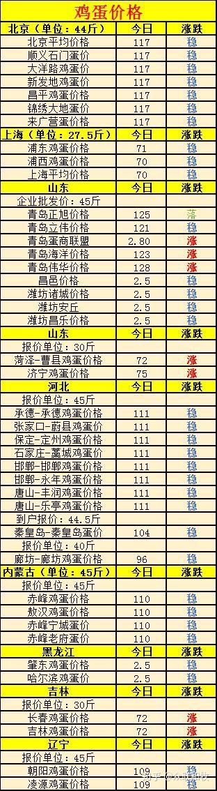 全國雞蛋最新批發(fā)價格，友情與陪伴中的溫情故事
