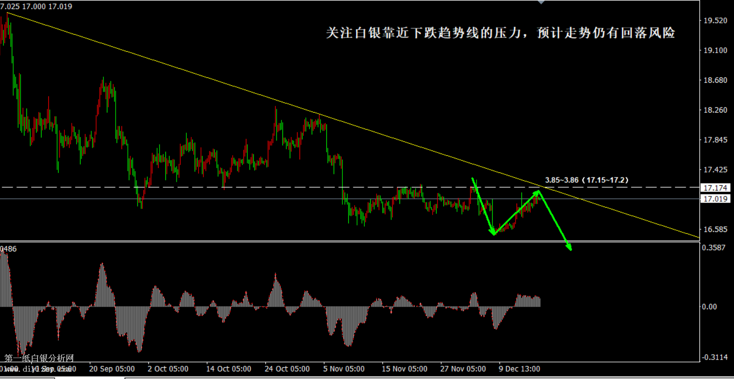 第一白銀網最新動態揭秘，小巷深處的白銀秘境
