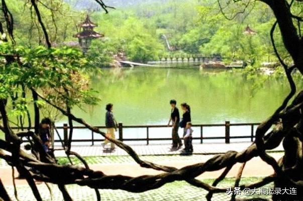 大連白云雁水最新消息概覽，最新動態與進展速覽