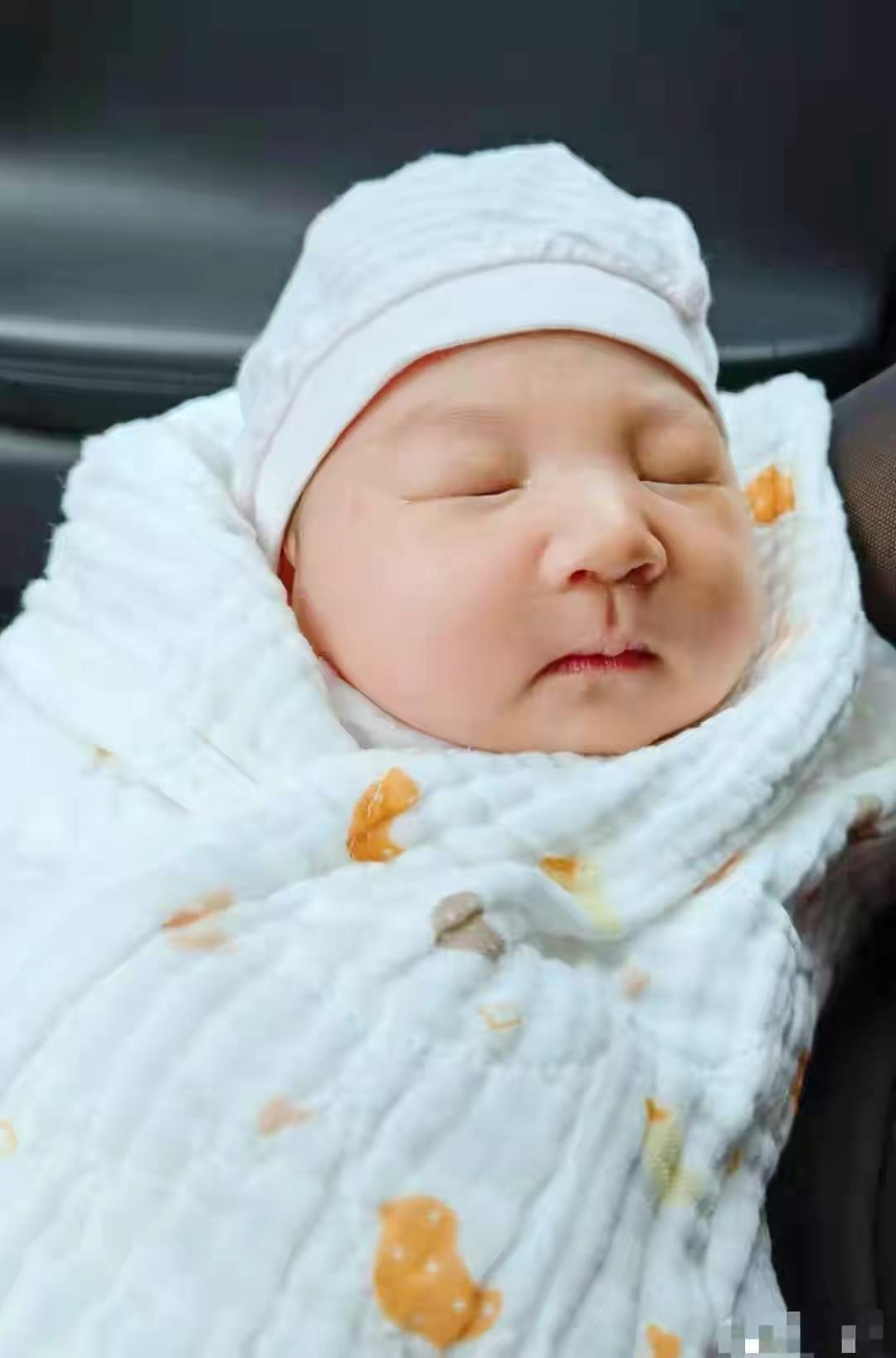 杭州保母縱火案最新視頻揭秘，變化的力量與自我成長的魅力展現