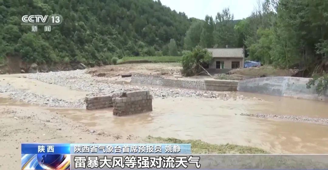 桃江竹海車禍最新進展,背后的力量與希望之光