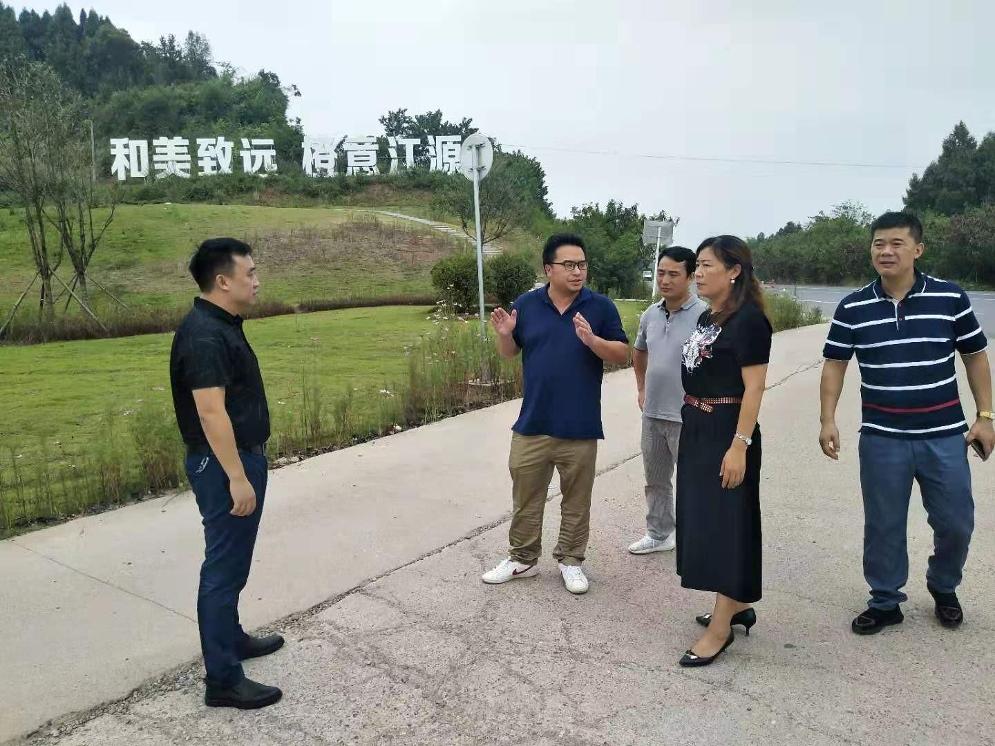 簡陽市江源鎮(zhèn)未來藍圖展望,最新規(guī)劃與未來發(fā)展