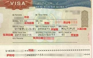 韓國(guó)簽證最新政策解讀，一文掌握所有更新！