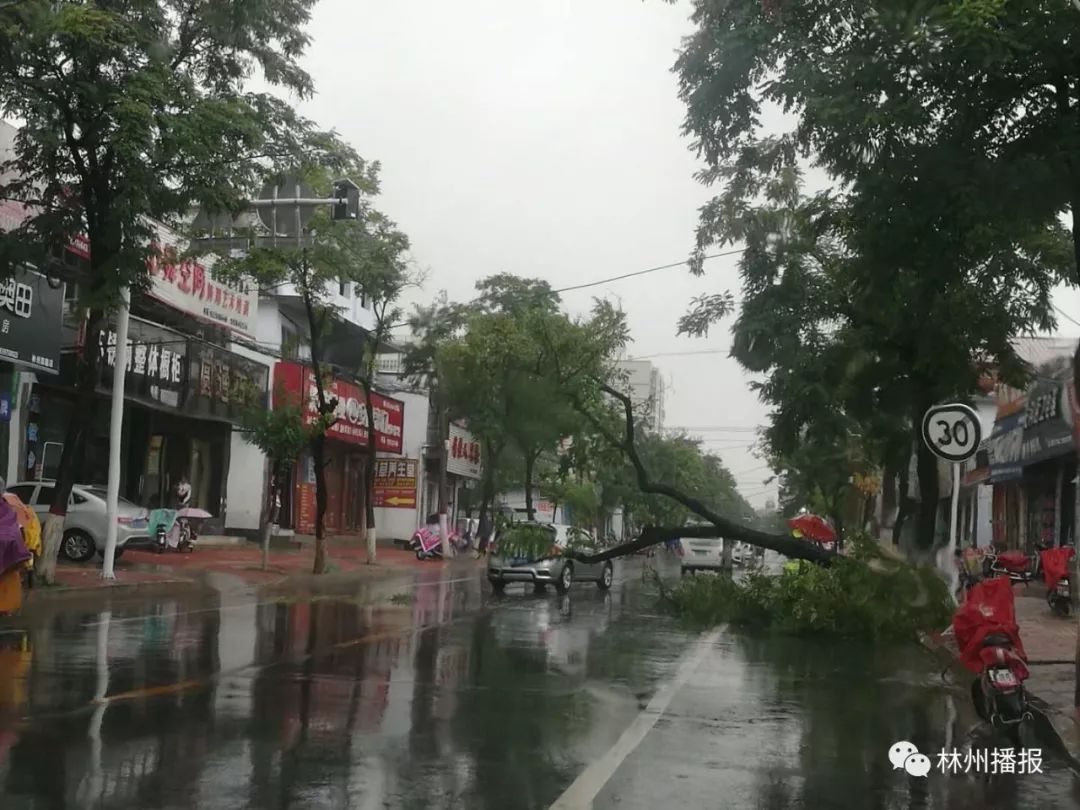 林州郭曉剛最新動(dòng)態(tài),自然美景探索之旅,追尋內(nèi)心平和與寧靜