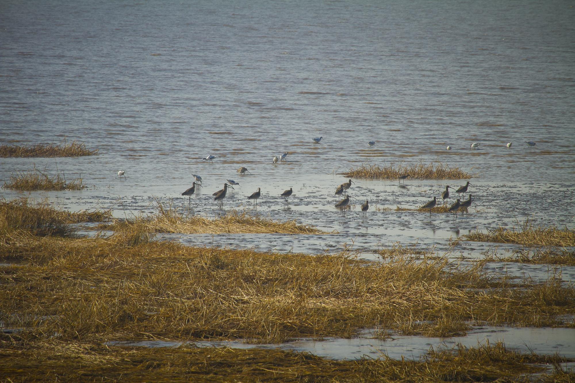 濱海新區漢沽最新動態更新,最新消息匯總