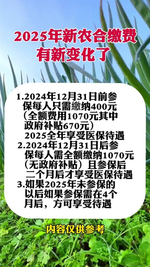 新農合最新政策2025,背景、影響與地位分析