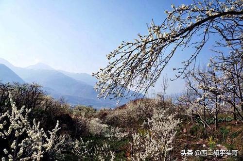 漢源九襄鎮最新規劃圖揭秘，藍圖下的繁榮未來