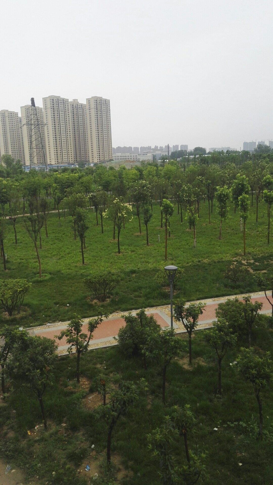 二七區最新天氣預報更新通知