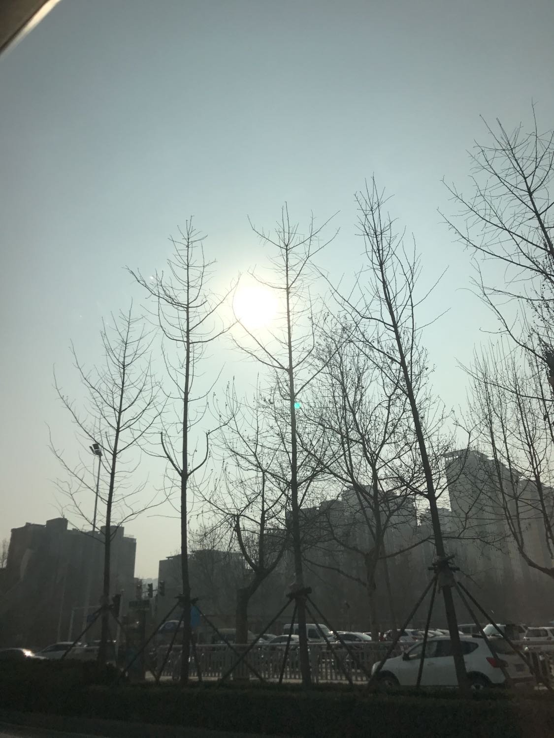 二七區最新天氣預報更新通知