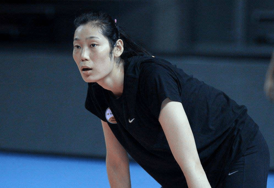 朱婷家人最新動態,深度分析與觀點闡述