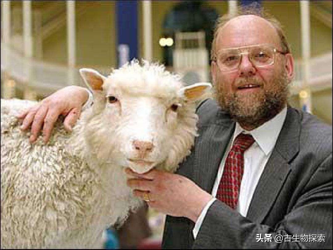 猛犸象復活最新進展揭秘,小巷實驗室與特色小店的秘密探索