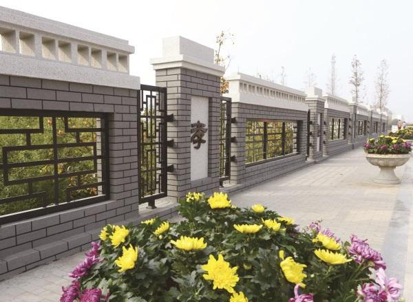 泊里信息港最新招聘及人才吸引策略多維解讀