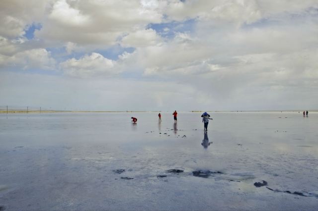 海西9號最新動態，任務完成與技能學習指南更新發布