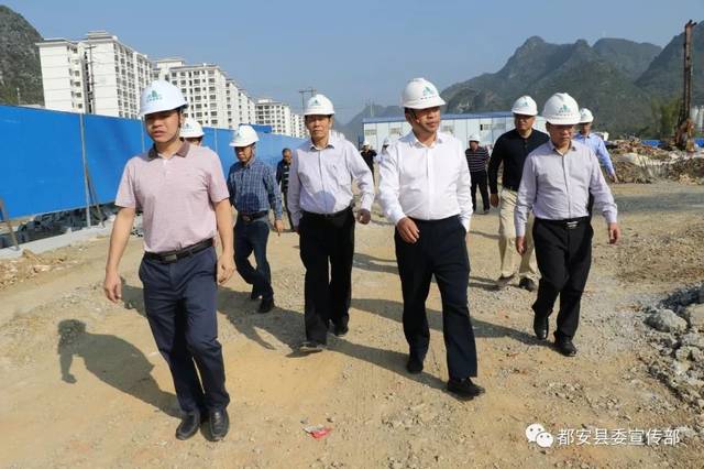 河池都安新聞最新動態更新