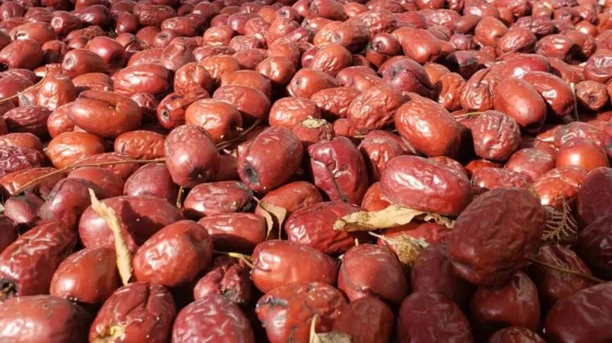 非常完美最新一期音樂盛宴，嗨翻全場的音樂狂歡！