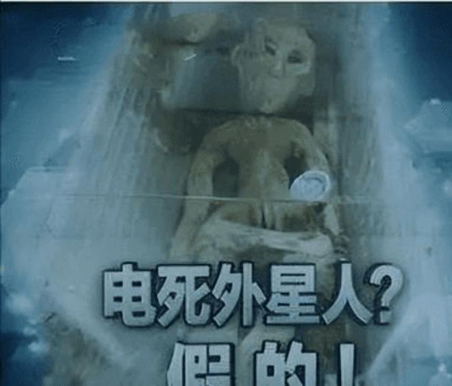 山東外星人最新動態更新????